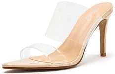 Katliu Women’s Clear Pointed Toe Heels Sandals Transparent Strap Stiletto High Heels Slip on Mules Heeled Sandals Nude