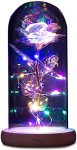 NewX Lighted Rose in Glass Dome with LED Lamp,Colorful Artificial Flowers,Gift for Mother’s Day,Women’s Day, Valentine’s Day, Birthday,Wedding Anniversary