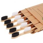 Biodegradable Bamboo Toothbrushes, 10 Piece BPA Free Soft Bristles Toothbrushes, Natural, Eco-Friendly, Green and Compostable