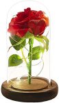 Valentines Day Gifts for Her，Beauty and The Beast Rose, Red Silk Rose That Lasts Forever in a Glass Dome with LED Lights,Gift for Mothers Day Valentine’s Day Wedding Anniversary