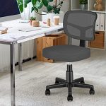 Armless Task Office Chair,MOLENTS Small Desk Chair with Mesh Lumbar Support,Ergonomic Computer Chair No Arms,Adjustable Swivel Home Office Chair for Small Spaces,Easy Assembly,Mid Back,No Armrest
