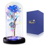 Gee Hut Gifts for Mom from Daughter, Eternal Glass Flowers Gift, Galaxy Roses with Rainbow Light Lasts Love in Glass Dome, Best Presents for Women Mom Wedding Anniversary Birthday Mother’s Day