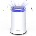 Air Purifier for Home, True HEPA Air Cleaner , Activated Carbon Filter, Up to 540 sqft, Protect from Pollen, Dust, Pet Dander, Smoke, Quiet for Bedroom, Office, Living Room, Night Light, Ozone-free