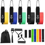 NEIQII Resistance Bands Set (16 Pieces), Workout Bands,Exercise Bands,Door Anchor,Handles,Carry Bag,Legs Ankle Straps for Resistance Training,Physical Therapy,Home Workout