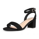 DREAM PAIRS Women’s Black Sudede Open Toe Ankle Strap Low Block Chunky Heels Sandals Party Dress Pumps Shoes Size 8.5 M US Carnival